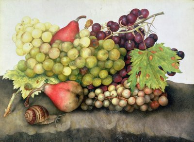 Snail with Grapes and Pears by Giovanna Garzoni